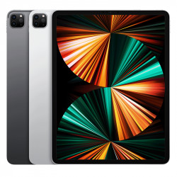 iPad Pro (5. покоління) 12,9"